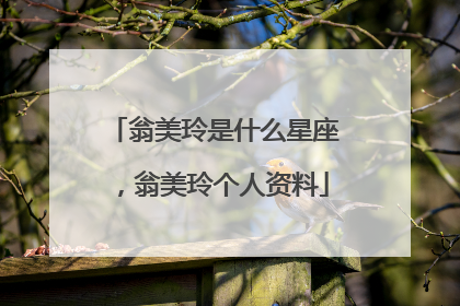 翁美玲是什么星座，翁美玲个人资料