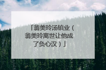 翁美玲汤镇业(翁美玲离世让他成了负心汉)
