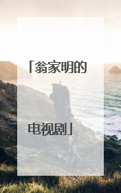 翁家明的电视剧