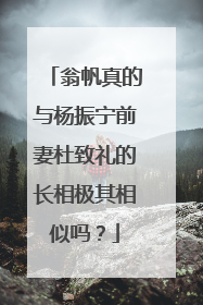 翁帆真的与杨振宁前妻杜致礼的长相极其相似吗？