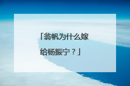 翁帆为什么嫁给杨振宁?