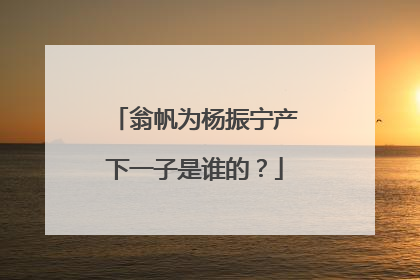 翁帆为杨振宁产下一子是谁的?