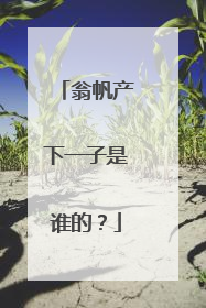 翁帆产下一子是谁的？