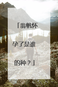 翁帆怀孕了是谁的种?