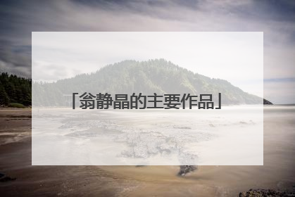 翁静晶的主要作品