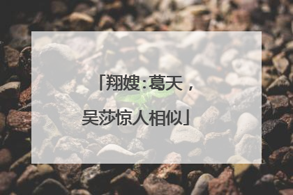 翔嫂:葛天,吴莎惊人相似