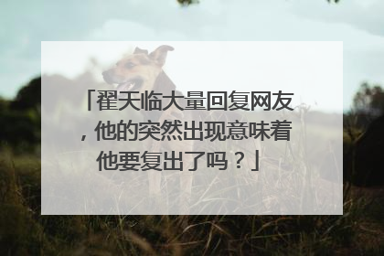 翟天临大量回复网友,他的突然出现意味着他要复出了吗?