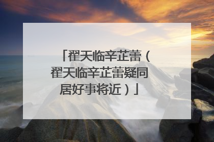 翟天临辛芷蕾（翟天临辛芷蕾疑同居好事将近）