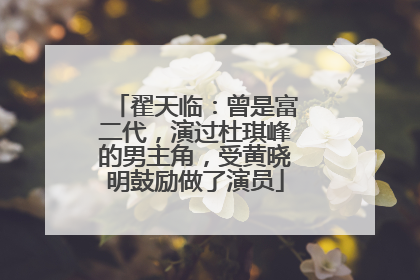 翟天临：曾是富二代，演过杜琪峰的男主角，受黄晓明鼓励做了演员