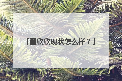 翟欣欣现状怎么样？
