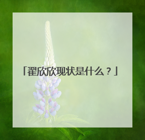 翟欣欣现状是什么?