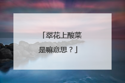 翠花上酸菜是嘛意思?