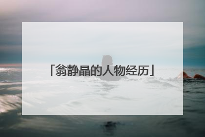 翁静晶的人物经历