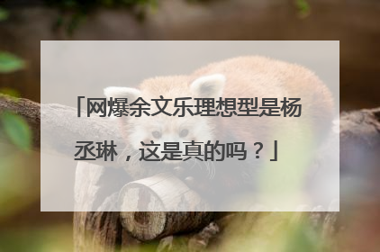 网爆余文乐理想型是杨丞琳,这是真的吗?