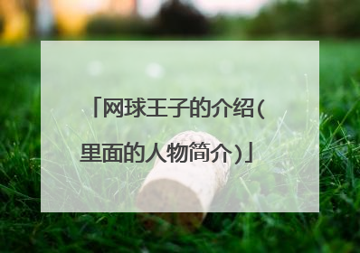 网球王子的介绍(里面的人物简介)