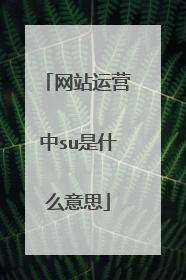 网站运营中su是什么意思