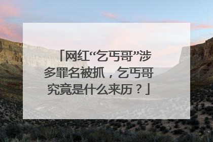 网红“乞丐哥”涉多罪名被抓，乞丐哥究竟是什么来历？