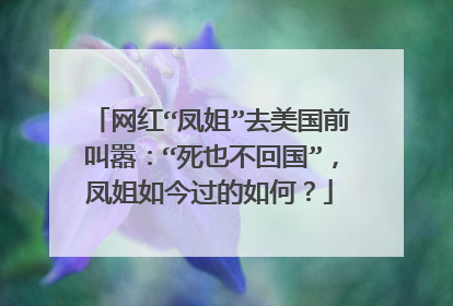 网红“凤姐”去美国前叫嚣：“死也不回国”，凤姐如今过的如何？