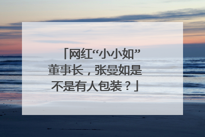 网红“小小如”董事长,张曼如是不是有人包装?