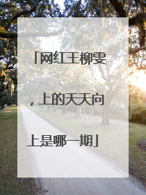 网红王柳雯，上的天天向上是哪一期