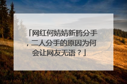 网红何婧婧新腾分手，二人分手的原因为何会让网友无语？