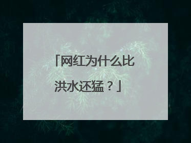 网红为什么比洪水还猛？