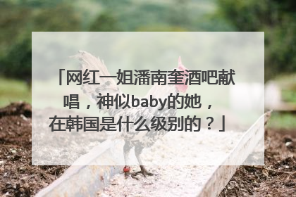 网红一姐潘南奎酒吧献唱,神似baby的她,在韩国是什么级别的?