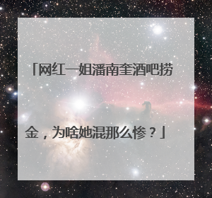 网红一姐潘南奎酒吧捞金，为啥她混那么惨？
