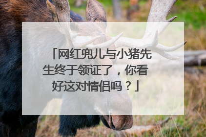 网红兜儿与小猪先生终于领证了,你看好这对情侣吗?