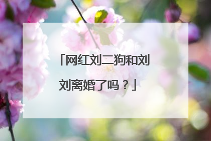 网红刘二狗和刘刘离婚了吗?