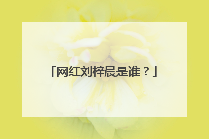 网红刘梓晨是谁?