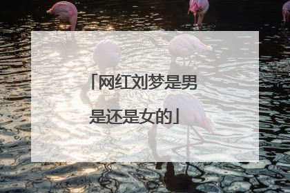 网红刘梦是男是还是女的