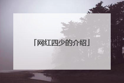 网红四少的介绍