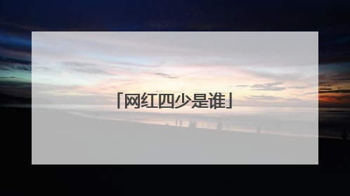 网红四少是谁