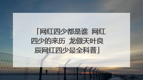 网红四少都是谁 网红四少的来历 龙傲天叶良辰网红四少最全科普