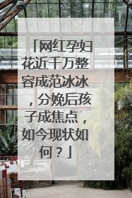 网红孕妇花近千万整容成范冰冰，分娩后孩子成焦点，如今现状如何？