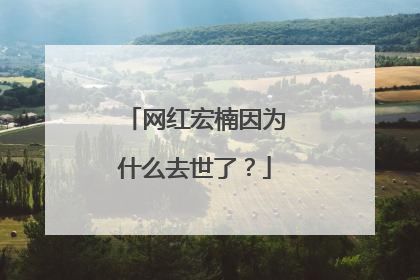 网红宏楠因为什么去世了?