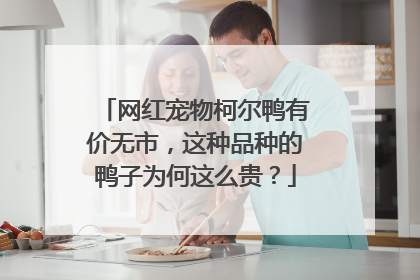 网红宠物柯尔鸭有价无市，这种品种的鸭子为何这么贵？