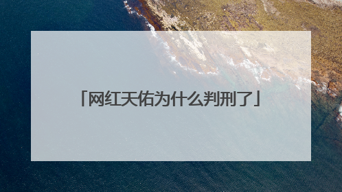 网红天佑为什么判刑了