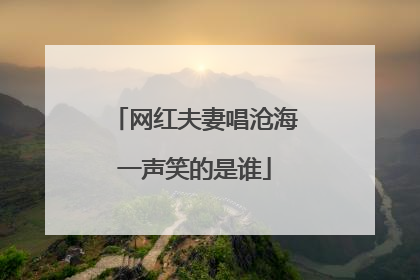 网红夫妻唱沧海一声笑的是谁
