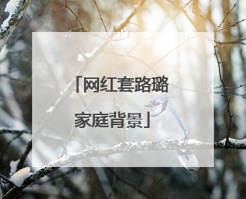 网红套路璐家庭背景