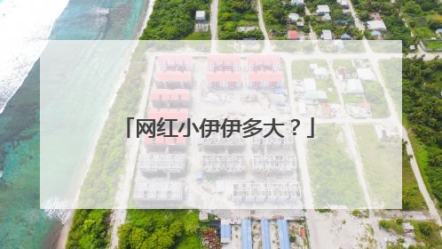 网红小伊伊多大?