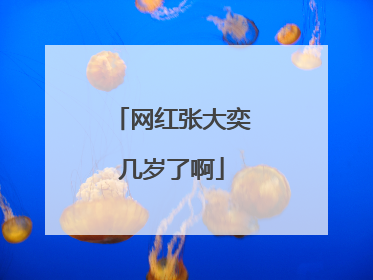 网红张大奕几岁了啊
