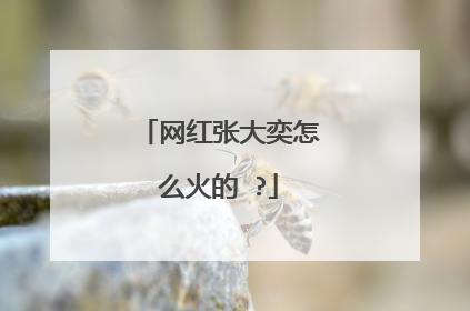 网红张大奕怎么火的 ?