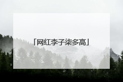 网红李子柒多高