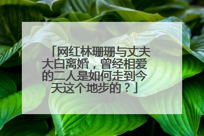 网红林珊珊与丈夫大白离婚，曾经相爱的二人是如何走到今天这个地步的？
