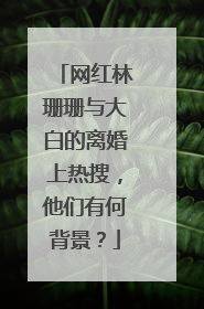 网红林珊珊与大白的离婚上热搜，他们有何背景？
