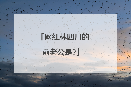 网红林四月的前老公是?