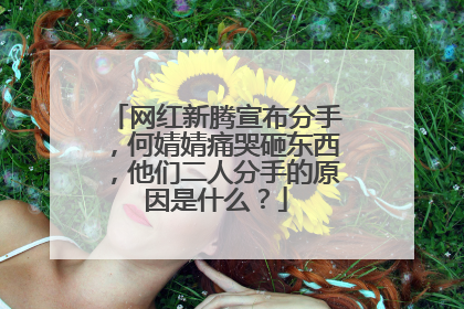 网红新腾宣布分手，何婧婧痛哭砸东西，他们二人分手的原因是什么？