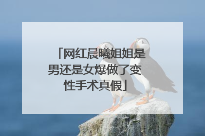 网红晨曦姐姐是男还是女爆做了变性手术真假